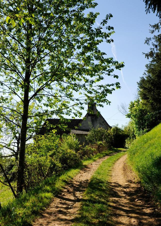 Le Bourmier Anlhiac Near Excideuil Exterior foto
