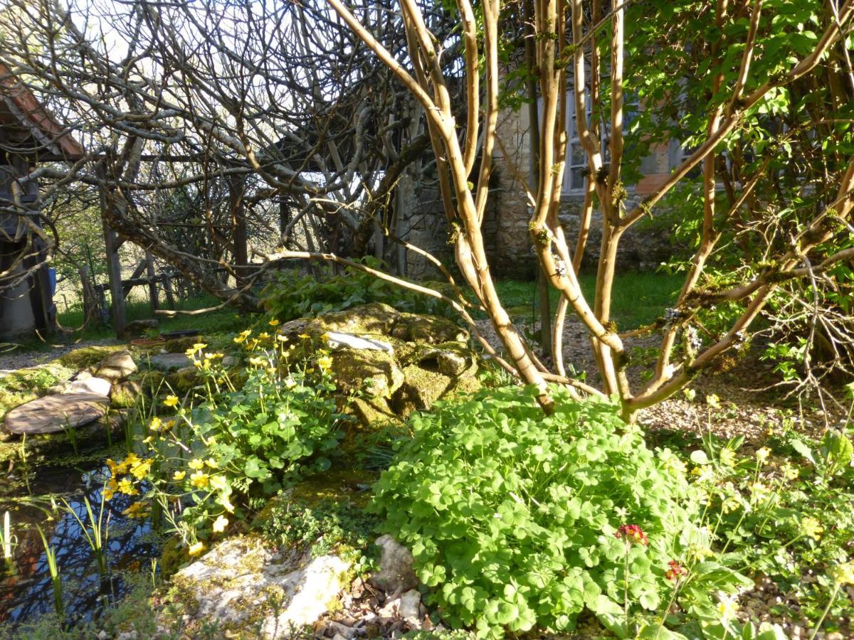 Le Bourmier Anlhiac Near Excideuil Exterior foto